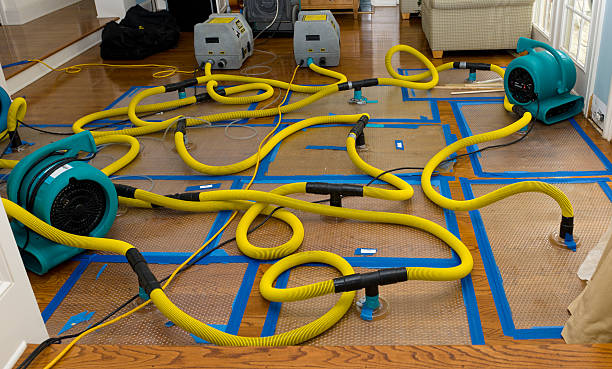 Professional Water Damage Restoration technician working in Faxon, OK